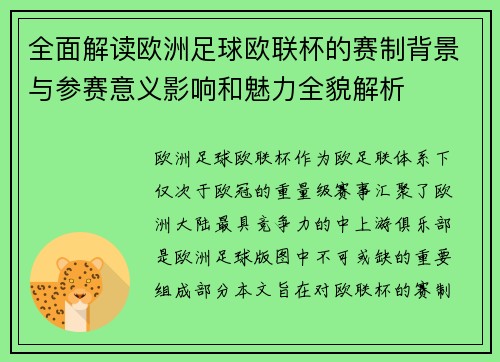 全面解读欧洲足球欧联杯的赛制背景与参赛意义影响和魅力全貌解析