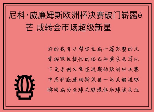 尼科·威廉姆斯欧洲杯决赛破门崭露锋芒 成转会市场超级新星 尼科·威廉姆斯欧洲杯决赛破门崭露锋芒 成转会市场超级新星